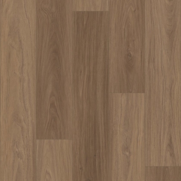 Picture of Shaw Floors - Homebound Cinnamon