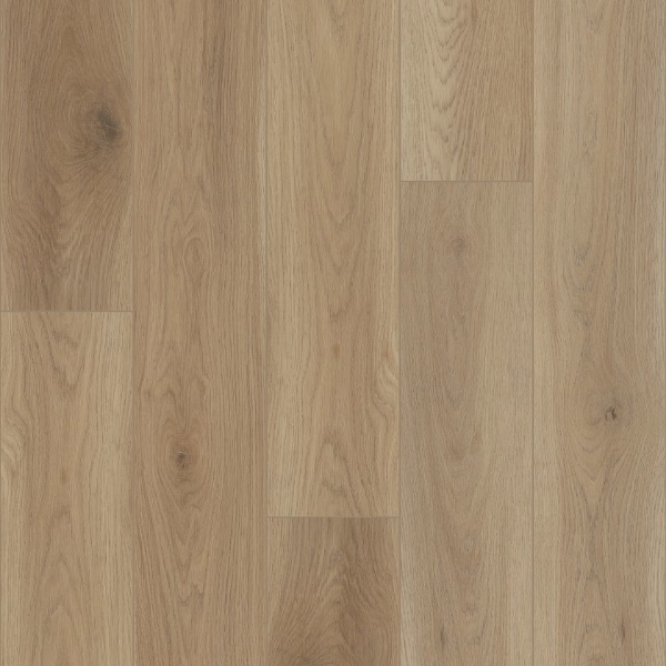 Picture of Shaw Floors - Homebound Honey Wheat