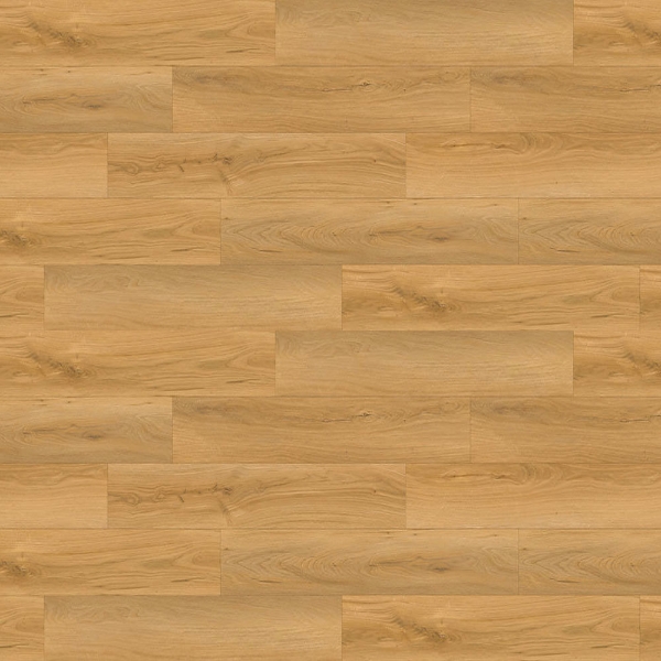 Picture of Republic - Bear Woods White Tiger