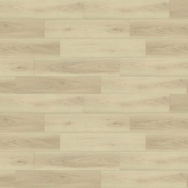 Picture of Republic - Bear Woods Himalayan Blue