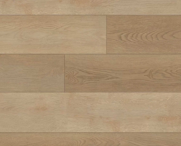 Picture of Republic - Cliffs XL European Beech