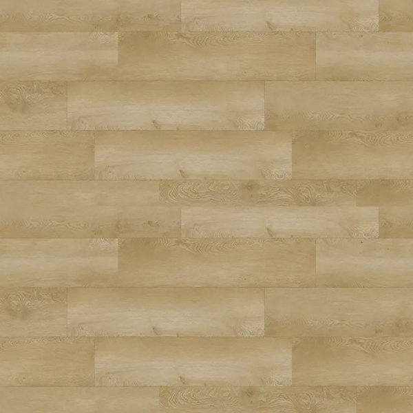 Picture of Republic - Summer Lake Paradiso Classic