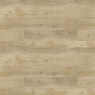 Picture of Republic - Deep Forest Ivory Buff