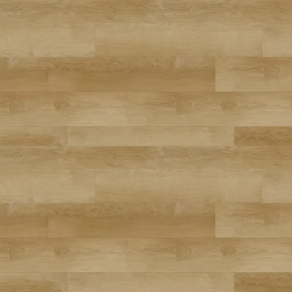 Picture of Republic - Deep Forest Light Thunder