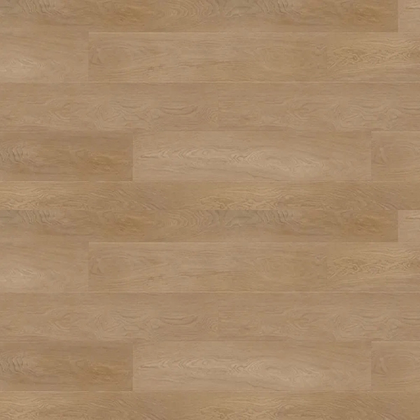 Picture of Republic - Deep Forest Hurricane Tawny