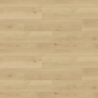 Picture of Republic - North Water New Caledonia