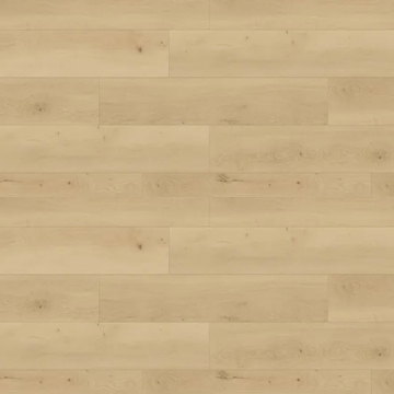 Picture of Republic - North Water New Caledonia