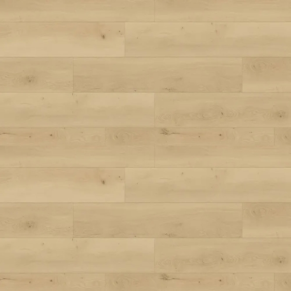 Picture of Republic - North Water New Caledonia