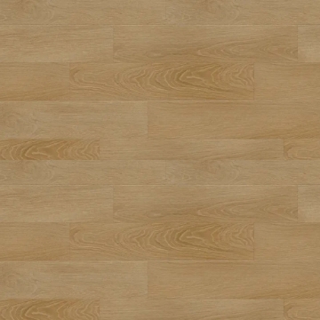 Picture of Republic - South Rose Paradiso Bash