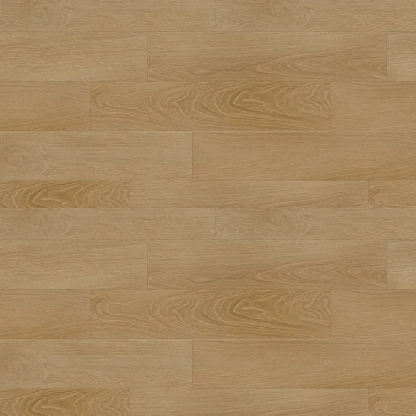 Picture of Republic - South Rose Paradiso Bash