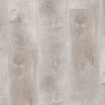 Picture of Republic - Countryside American Hornbeam