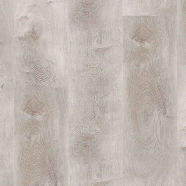 Picture of Republic - Countryside American Hornbeam