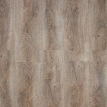 Picture of Republic - Pacific Oak California Buckeye