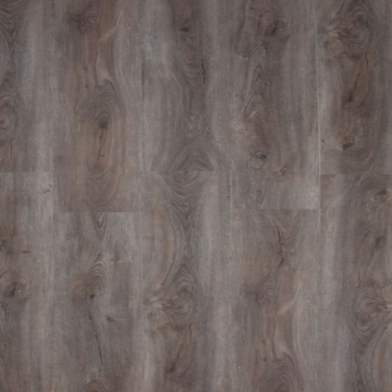 Picture of Republic - Pacific Oak Coyote Brush