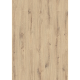 Picture of Muller Graff - Black Forest Dusky Cypress