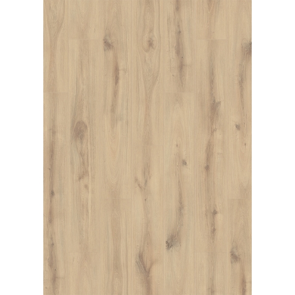 Picture of Muller Graff - Black Forest Dusky Cypress