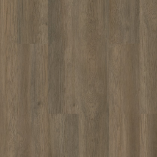 Picture of Shaw Floors - Infinite 20 Raconteur
