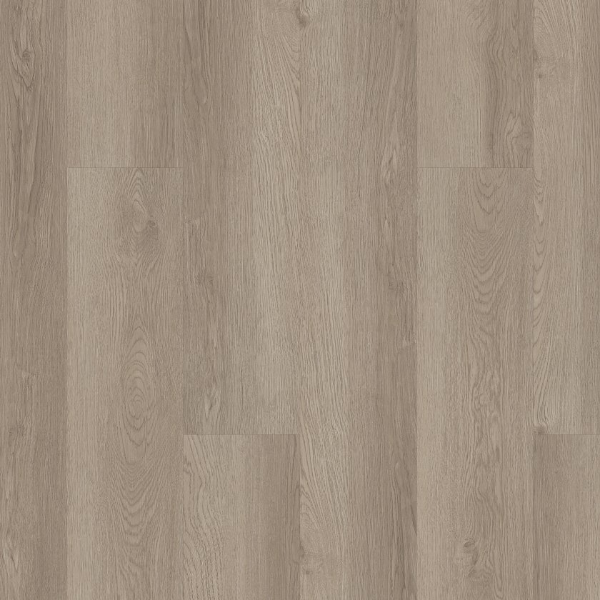 Picture of Shaw Floors - Infinite 20 Pampas