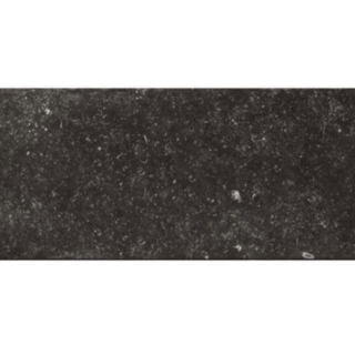 Picture of Edimax Ceramiche Astor - Belgica 12 x 24 Belgica