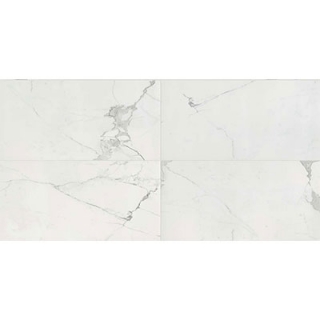 Picture of Milestone - Luxury 24 x 48 Matte 8mm Calacatta