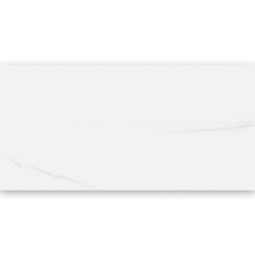 Picture of Refin - Dolomite 12 x 24 Dolomite Polished