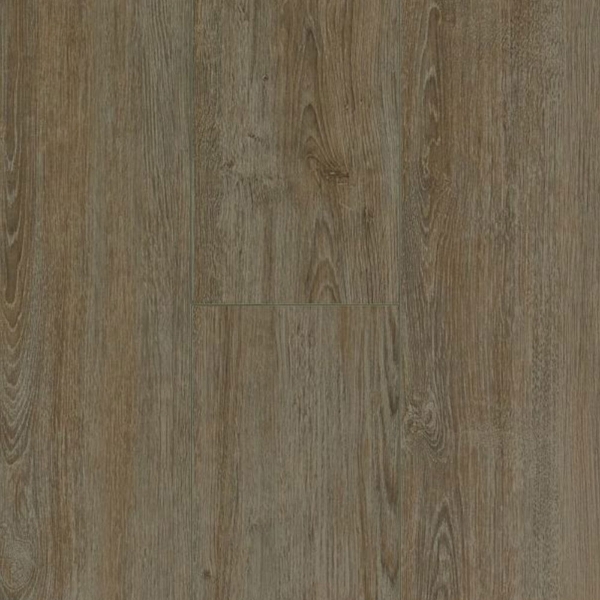 Picture of Bruce - LifeSeal Classic Plus Shady Cove