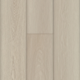 Picture of Bruce - LifeSeal Trending Spring Mist