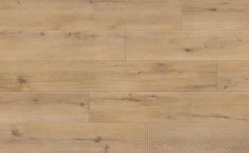 Picture of Johnson - Skyview Horizon