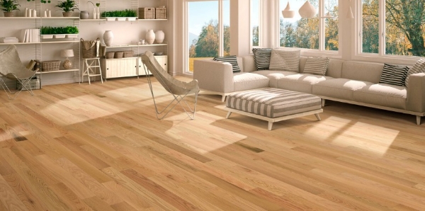 Picture of Chesapeake Flooring - Lighthouse Echo Point