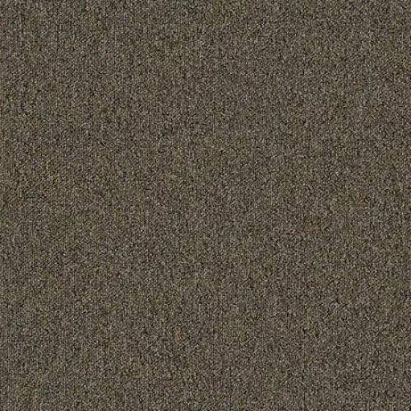 Picture of Aladdin Commercial - Huescapes Speckled Egg