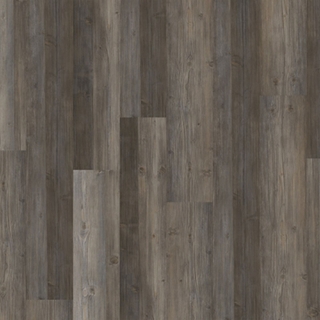 Picture of Chesapeake Flooring - ProSolutions SPC 20 Plank Timber Grove