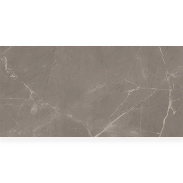 Picture of Milestone - Luxury 12 x 24 Polished Amani Grey