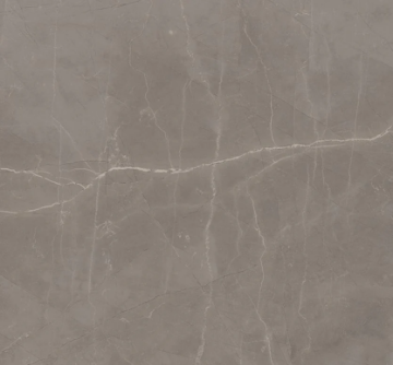 Picture of Milestone - Luxury 24 x 24 Polished 8mm Amani Grey