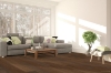 Picture of Denali Hardwood - Tribeca Altamira