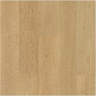 Picture of Ribadao - Fra-Grance Essence Forest