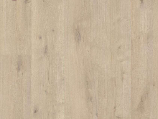 Picture of Ribadao - Stravaganza - AC6 Genova