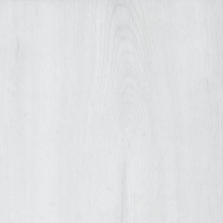 Picture of Shaw Contract - Branching Out Coretec 20MIL Alpine Oak