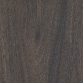 Picture of Shaw Contract - Branching Out Coretec 20MIL Forest Walnut