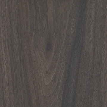 Picture of Shaw Contract - Branching Out Coretec 20MIL Forest Walnut