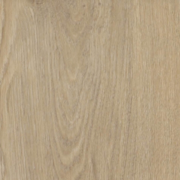 Picture of Shaw Contract - Branching Out Coretec 20MIL Prairie Oak