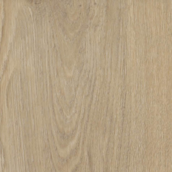 Picture of Shaw Contract - Branching Out Coretec 20MIL Prairie Oak