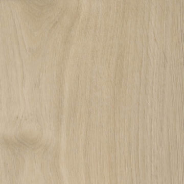 Picture of Shaw Contract - Branching Out Coretec 20MIL Plains Oak