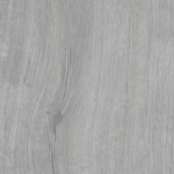 Picture of Shaw Contract - Branching Out Coretec 20MIL Range Oak