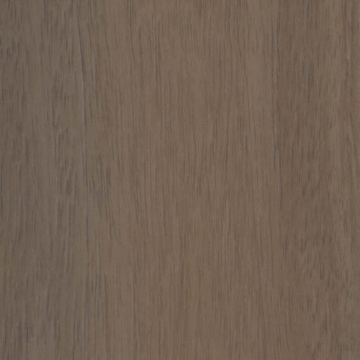 Picture of Shaw Contract - Branching Out Coretec 20MIL Ravine Oak