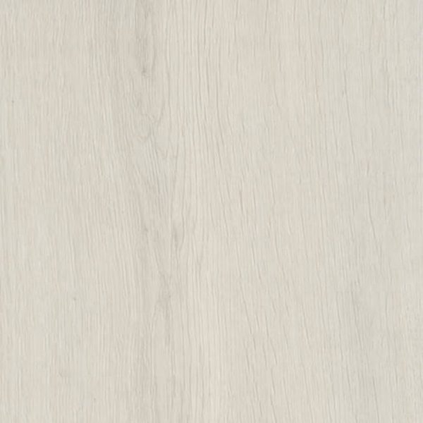 Picture of Shaw Contract - Branching Out Coretec 20MIL Rise Oak