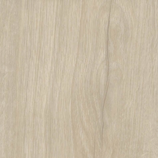 Picture of Shaw Contract - Branching Out Coretec 20MIL Riverside Oak