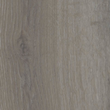 Picture of Shaw Contract - Branching Out Coretec 20MIL Traverse Oak