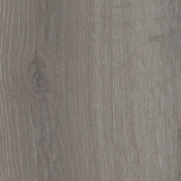 Picture of Shaw Contract - Branching Out Coretec 20MIL Traverse Oak