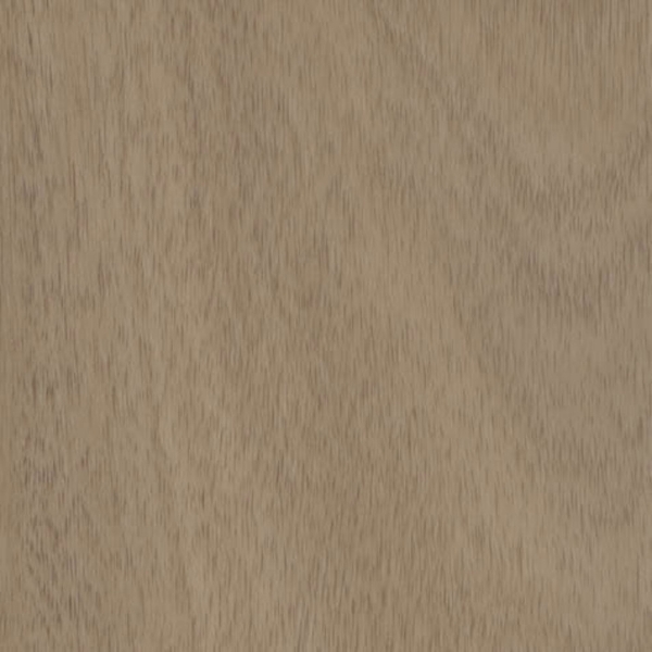 Picture of Shaw Contract - Branching Out Coretec 20MIL Zion Oak