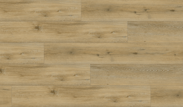 Picture of Responsive Industries - Elevate Andrusia